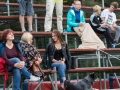 Nõmme Kalju FC U21 - Tartu FC Santos (15.07.16)-0549