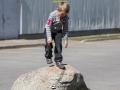 Tabasalu perepäev 07.05.2016-79