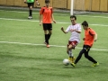 IMG_7129.jpg