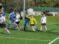 IMG_8880.jpg